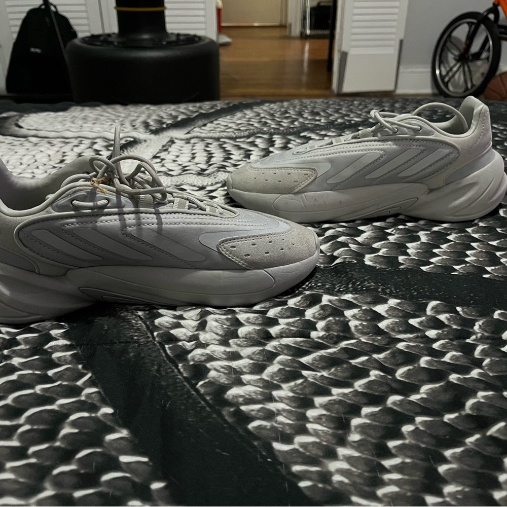 Big kid boy Adidas sneakers